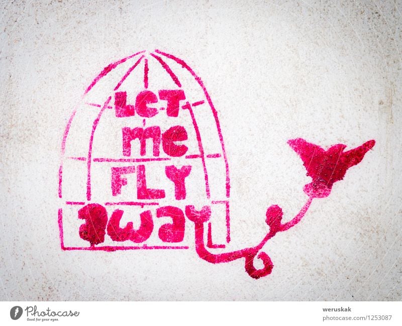 Pink stencil graffiti with bird leaving a cage Handcrafts Freedom Art Work of art Culture Graffiti Street Bird Concrete Dirty White Inhibition Creativity Change
