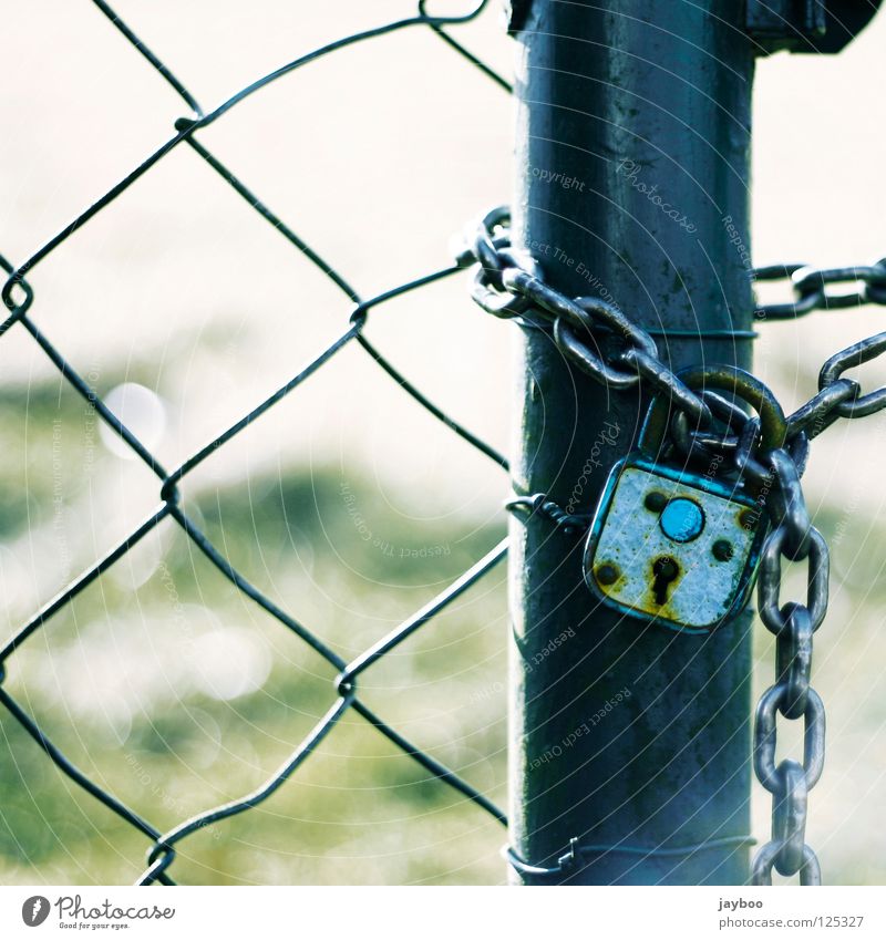 No getting through Wire netting fence Fence Padlock Meadow Green Closed Key Passage Captured Detail Blue Chain no escape Exterior shot