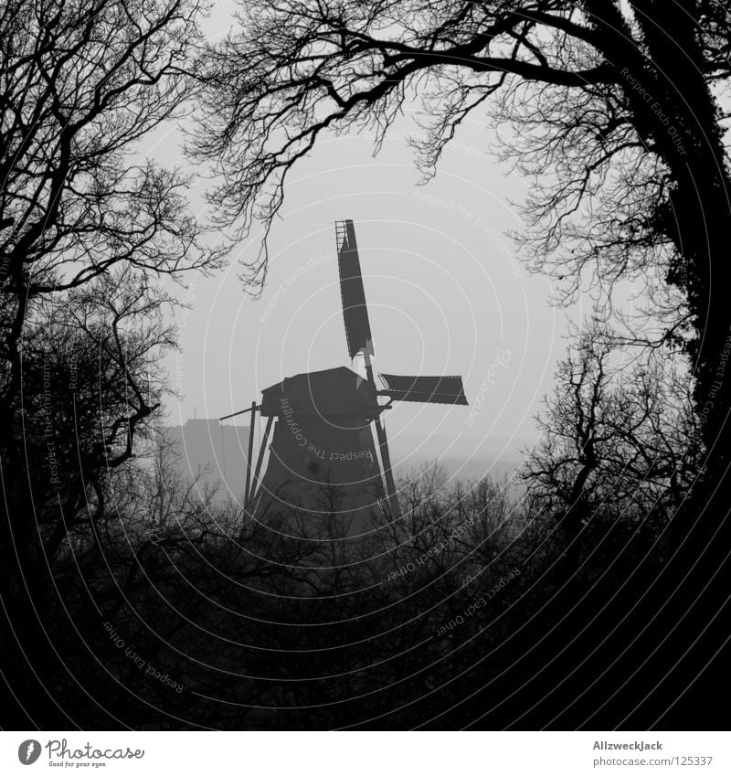 a little mill stands in the woods... Branchage Tree Bushes Black White Mill Windmill Silhouette Dreary Potsdam Ancient Historic Black & white photo Germany Wing