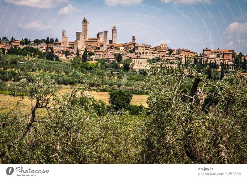 medieval Vacation & Travel Tourism Trip Sightseeing City trip Summer Summer vacation Environment Landscape Sky Olive tree Hill San Gimignano Italy Tuscany