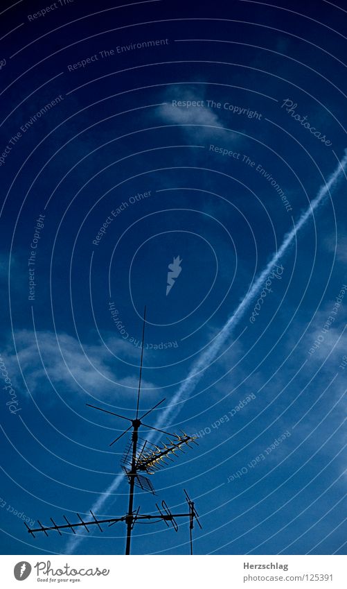 In the reception area Antenna Sky Vapor trail Airplane Blue Freedom Life Emotions Fear