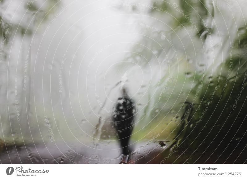 multifarious... | The thoughts behind this picture. Woman Adults 1 Human being Autumn Bad weather Rain Windscreen Glass Water Stand Esthetic Dark Gray Green