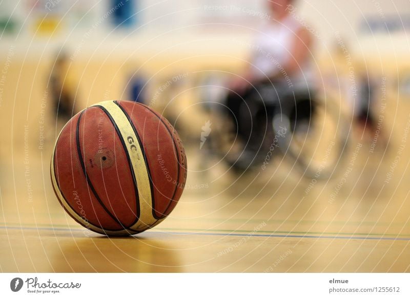 Professional sport with handicap Athletic Fitness Sports Ball sports Basketball wheelchair basketball Sporting event Gymnasium Fight Success Together Yellow