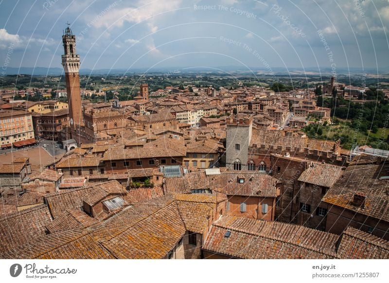 Clearly arranged Vacation & Travel Tourism Far-off places Sightseeing City trip Summer vacation Sky Clouds Horizon Siena Tuscany Italy Town Downtown Old town