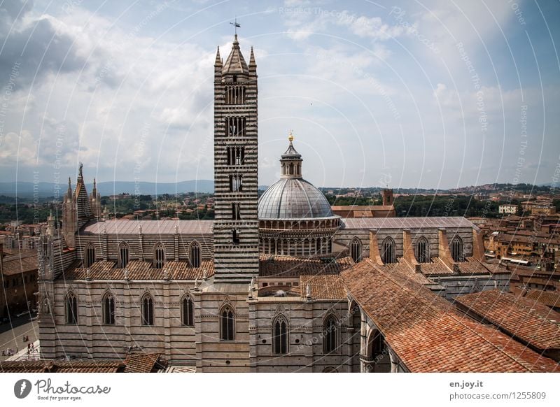 Cattedrale di Santa Maria Assunta Vacation & Travel Tourism Sightseeing City trip Summer Summer vacation Sky Storm clouds Horizon Siena Tuscany Italy Town