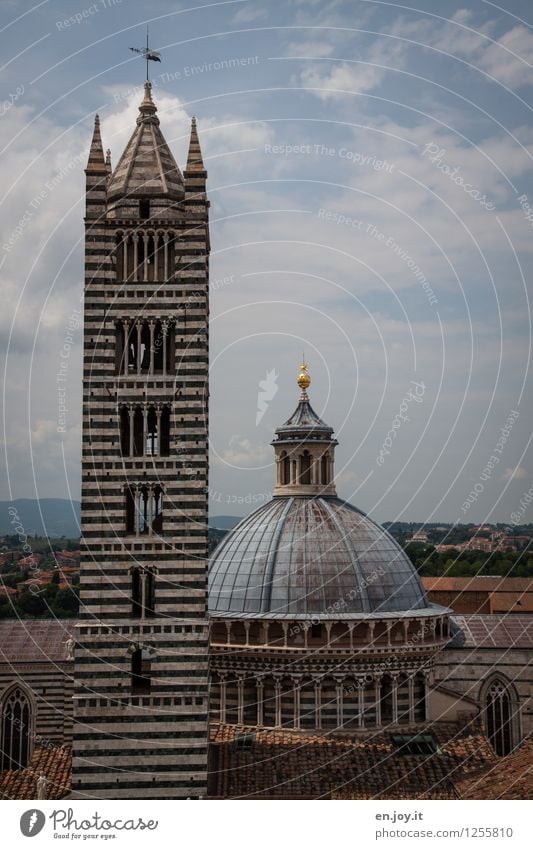 ...actually makes you fat Vacation & Travel Sightseeing City trip Summer Summer vacation Sky Siena Tuscany Italy Town Downtown Old town Church Dome Tower