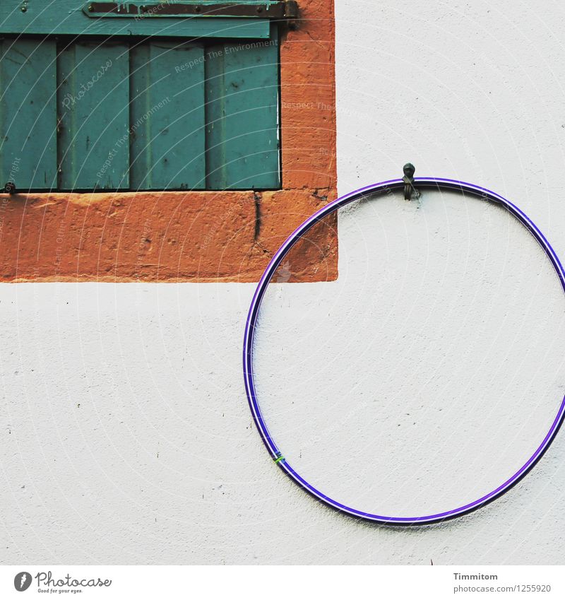 Play? Living or residing Wall (barrier) Wall (building) Window Hula hoop Wood Plastic Hang Esthetic Simple Blue Brown Green White Emotions Shutter Closed