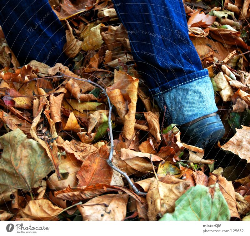 discovery. Autumn Leaf Footwear Discover Pants Rustling To go for a walk Going Cloth Moody Lanes & trails Hiking Deep Under Flat Woodground Research Go under