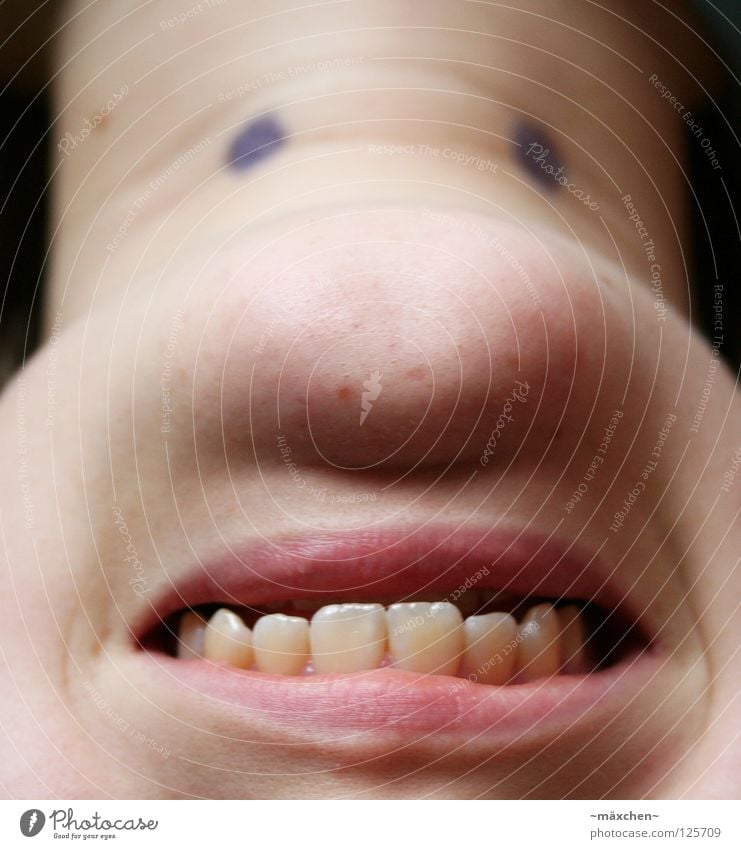 upside down Smiley Opposite On the head 180 Rotation Mole Grinning Cheek Chin Joy Macro (Extreme close-up) Close-up Face Eyes Nose Mouth Speed grrrr Wrinkles