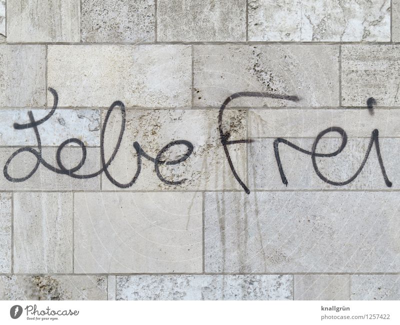 Live Free House (Residential Structure) Wall (barrier) Wall (building) Graffiti Communicate Sharp-edged Town Gray Black Emotions Brave Freedom Life Dream