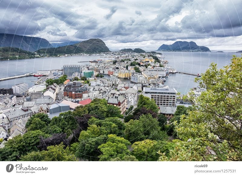 View of Ålesund Vacation & Travel Mountain House (Residential Structure) Nature Landscape Tree Park Fjord Town Building Architecture Tourism Norway