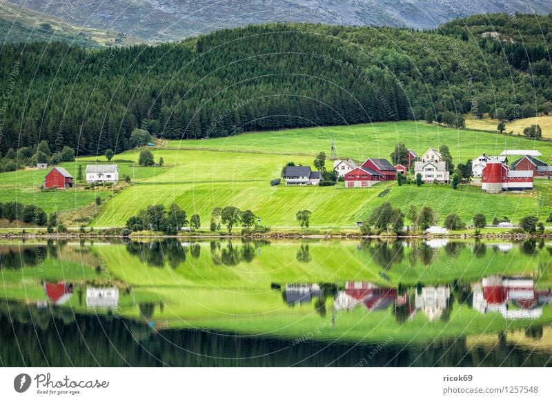 Mountain lake in Norway Relaxation Vacation & Travel House (Residential Structure) Nature Landscape Water Lake Hut Building Idyll Møre og Romsdal destination
