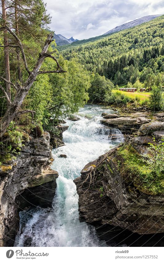 waterfall Relaxation Vacation & Travel Mountain Nature Landscape Water Clouds Tree Rock Brook River Waterfall Idyll Tourism Norway Møre og Romsdal destination