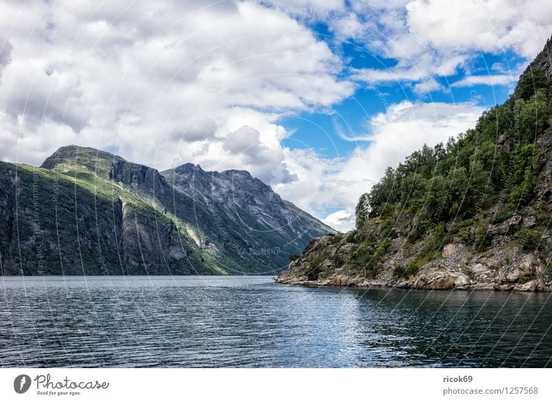 View of the Geirangerfjord Relaxation Vacation & Travel Mountain Nature Landscape Water Clouds Fjord Idyll Tourism Norway Møre og Romsdal destination Sky voyage
