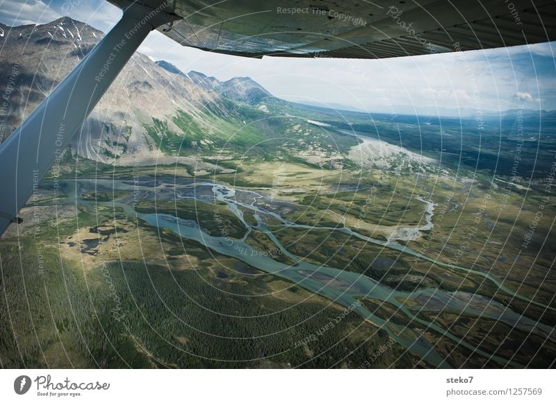 bear country Forest Mountain River bank Bog Marsh Flying Adventure Discover Far-off places Tundra Yukon Territory Wing tip Light aircraft Aerial photograph
