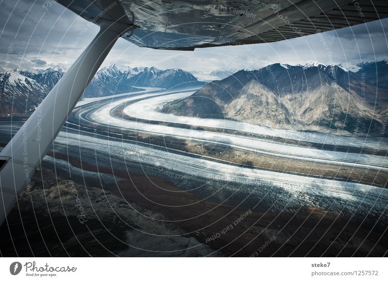 Glacier Highway Mountain In the plane Flying Esthetic Cold Movement Symmetry Far-off places Yukon Territory Kluane National Park Ice Ice age Wing tip Large