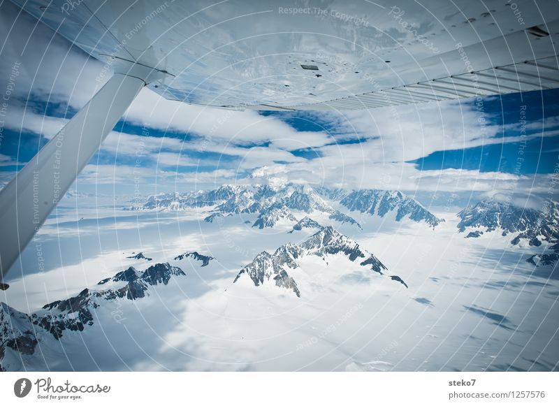 Glacier Land IV Mountain Mount Logan Snowcapped peak In the plane Flying Gigantic Large Cold Blue White Loneliness Hope Far-off places Yukon Territory