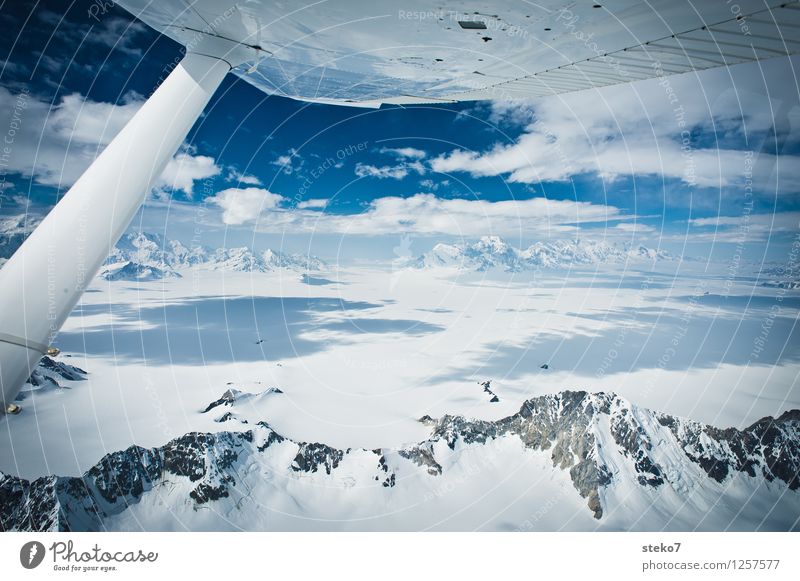 Glacier Land III Ice Frost Mountain In the plane Flying Gigantic Infinity Cold Blue White Loneliness Horizon Pure Far-off places Yukon Icefield