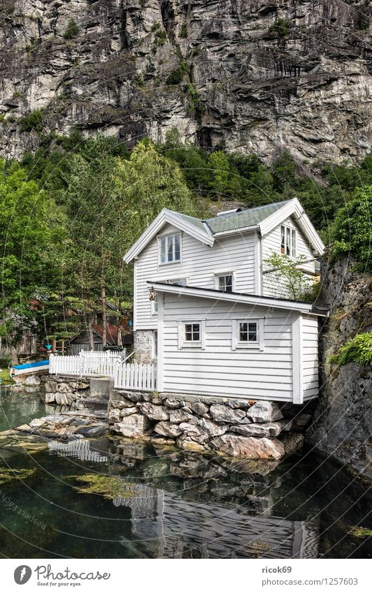 A house in Geiranger Relaxation Vacation & Travel Mountain House (Residential Structure) Nature Landscape Water Tree Forest Hut Building Architecture Idyll