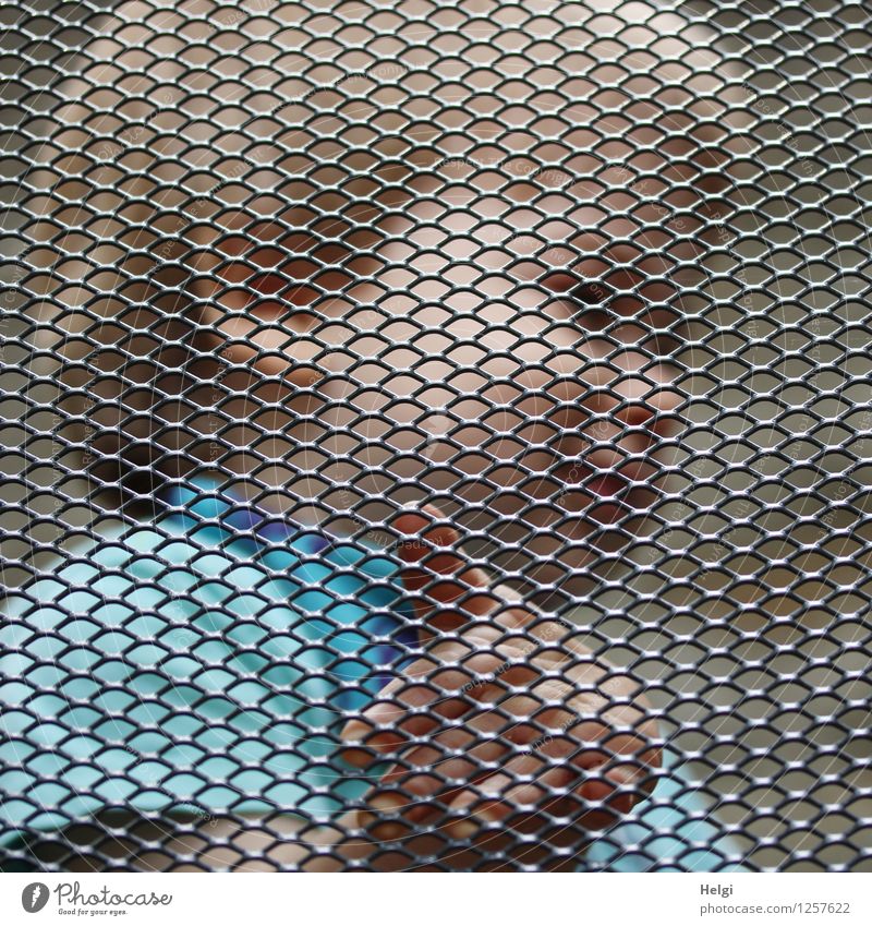 Portrait of a little boy behind a barrier Human being Masculine Toddler Boy (child) Infancy Head Hair and hairstyles Face Hand 1 1 - 3 years Fence Metal Touch