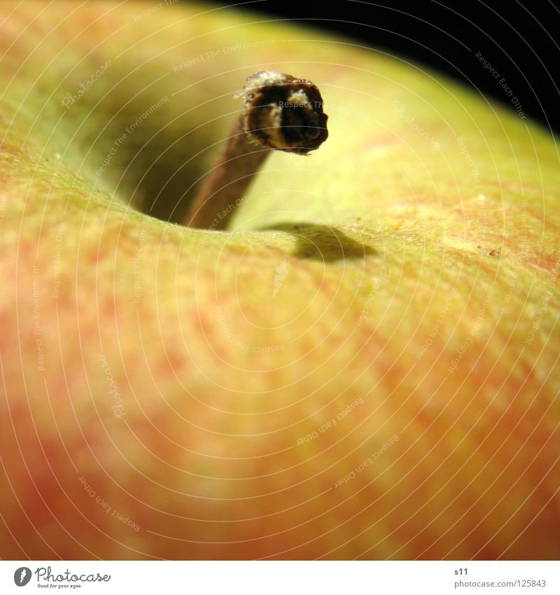 apple Crunchy Juicy Sweet Round Healthy Vitamin Red Yellow Green Macro (Extreme close-up) Close-up Fruit Anger Smoothness Apple Stalk Nature
