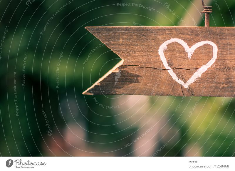 To the heart Valentine's Day Wedding Wood Sign Heart Arrow Love Old Brown Green Spring fever Infatuation Romance Beginning Idyll Colour photo Exterior shot
