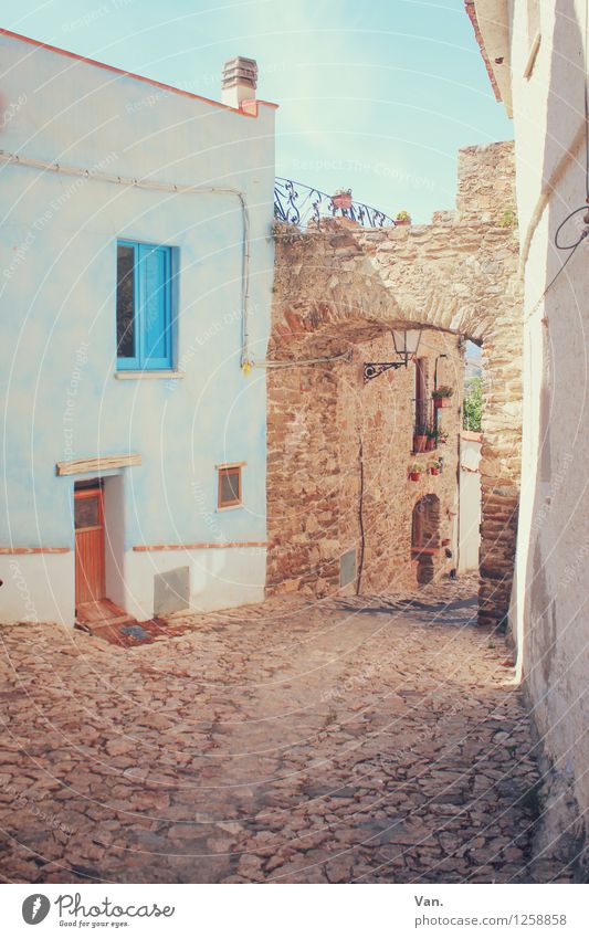 In a small town Summer vacation Sardinia Village Deserted House (Residential Structure) Gate Wall (barrier) Wall (building) Facade Window Door Street