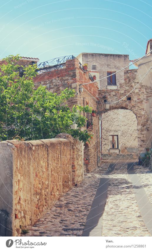 posada Vacation & Travel Summer vacation Tree Sardinia Village House (Residential Structure) Gate Wall (barrier) Wall (building) Street Warmth Blue Green