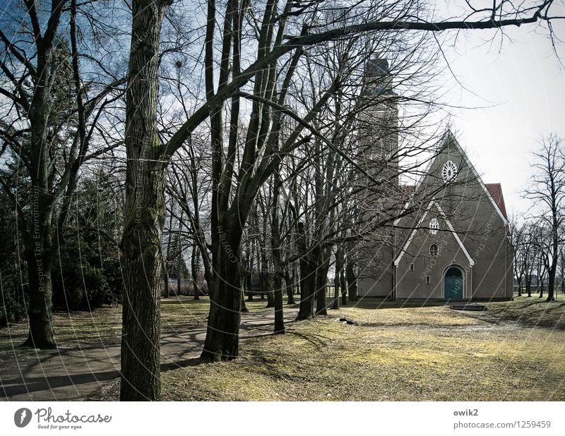Church in the park Cloudless sky Plant Tree Grass Twigs and branches Falkenberg Brandenburg Germany Firm Historic Religion and faith House of worship