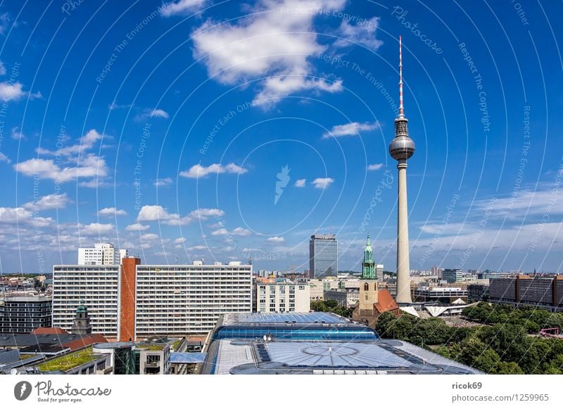 Berlin Vacation & Travel Tourism House (Residential Structure) Clouds Tree Town Capital city Downtown Manmade structures Building Architecture