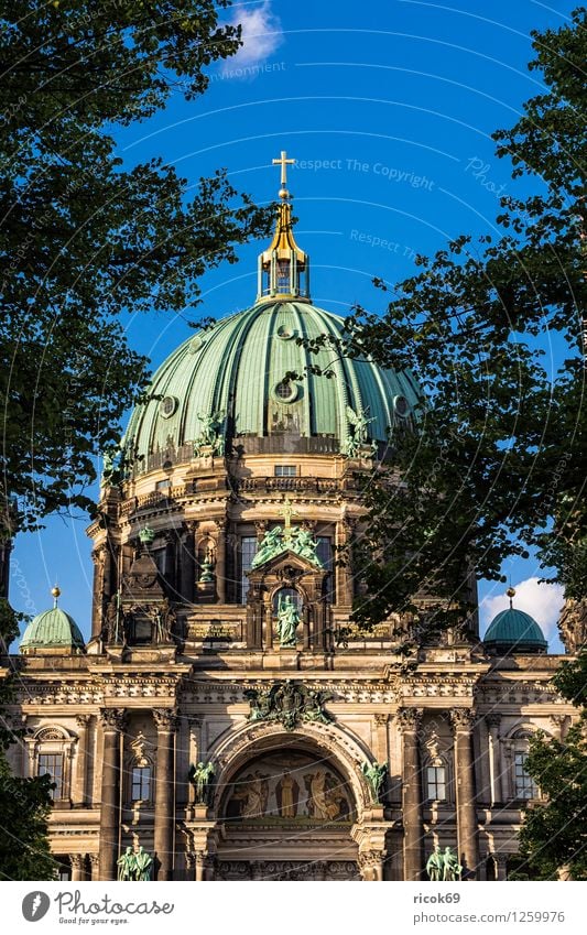 Berlin Cathedral Vacation & Travel Tourism Water Clouds Tree Capital city Downtown Dome Manmade structures Architecture Tourist Attraction Landmark Blue Green