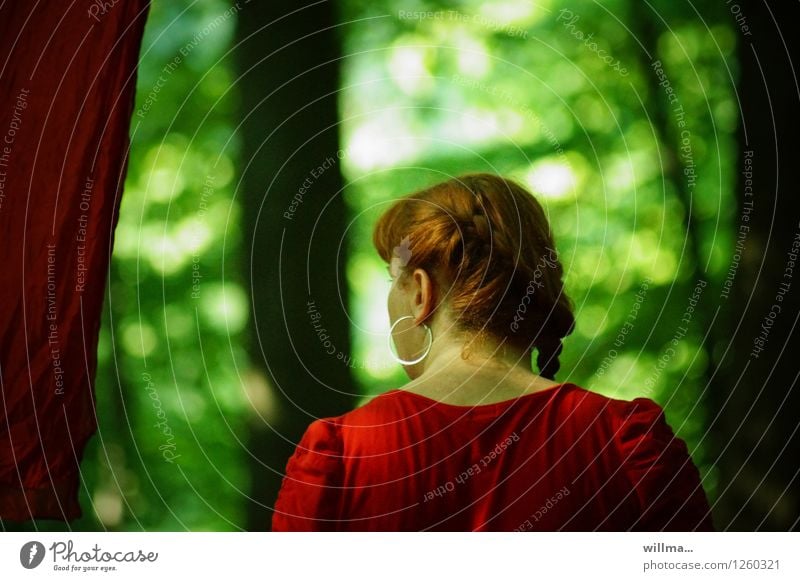 Red-haired woman in the countryside Young woman Youth (Young adults) Woman Adults Head Back Forest Earring Dark Green Rear view Human being
