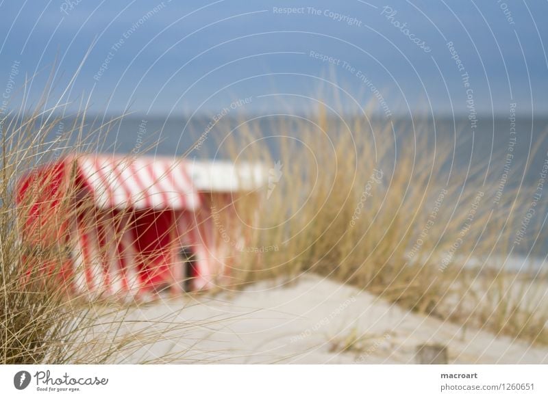 vacation Beach chair Vacation & Travel Baltic Sea Lake Ocean Water Body of water Sand Sandy beach Beach dune Common Reed Grass Green Summer Red White Striped
