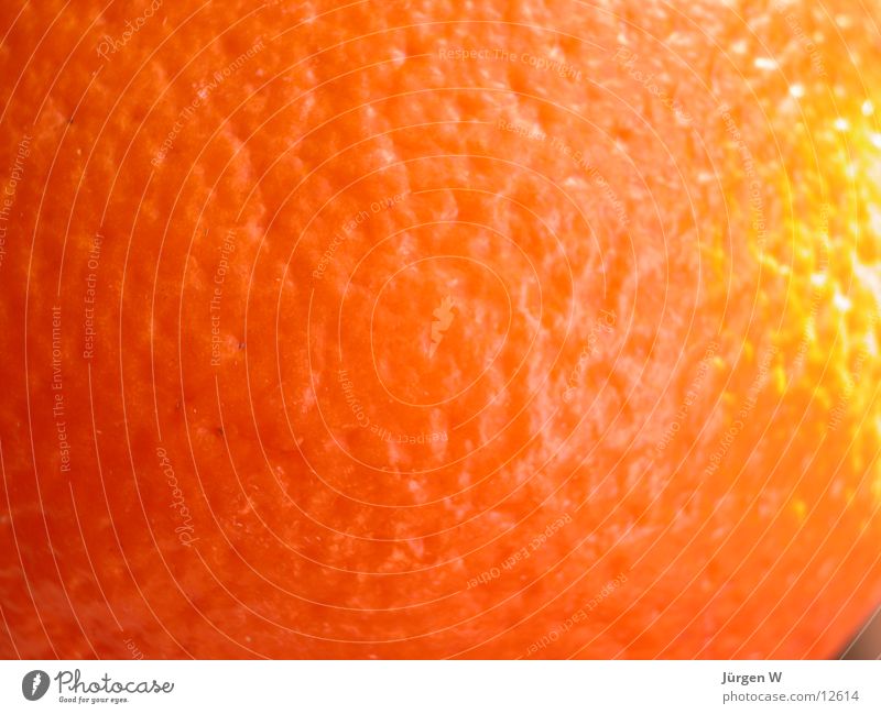 cellulite Fruit Orange Skin Bowl Structures and shapes structure flat