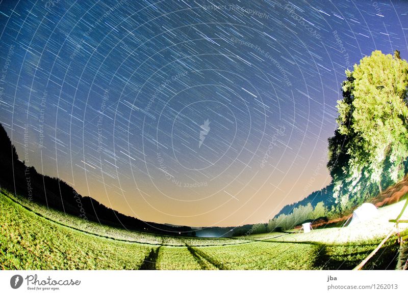 Night sky in Emmental IV Harmonious Calm Leisure and hobbies Trip Summer Summer vacation Camping site Nature Elements Sky Stars Horizon Beautiful weather Tree