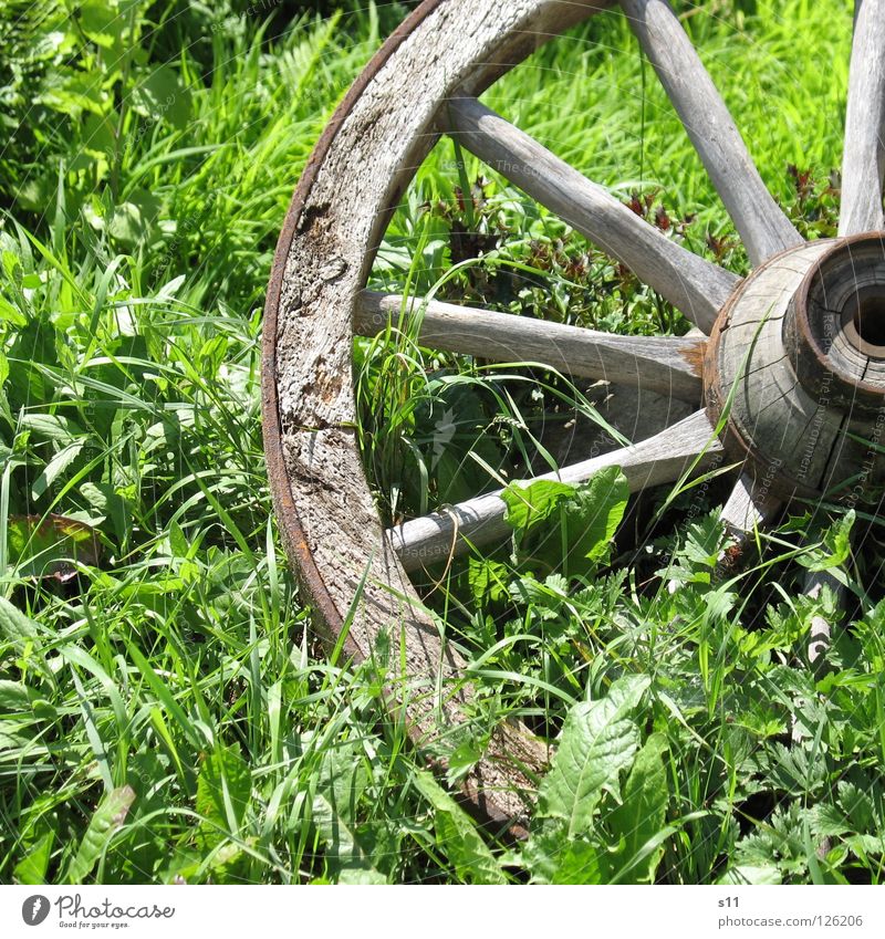 Old wagon wheel Summer Decoration Weather Grass Leaf Meadow Wood Round Brown Green Wheels Carriage Horse and cart Middle Iron Spokes Degrees Celsius Square