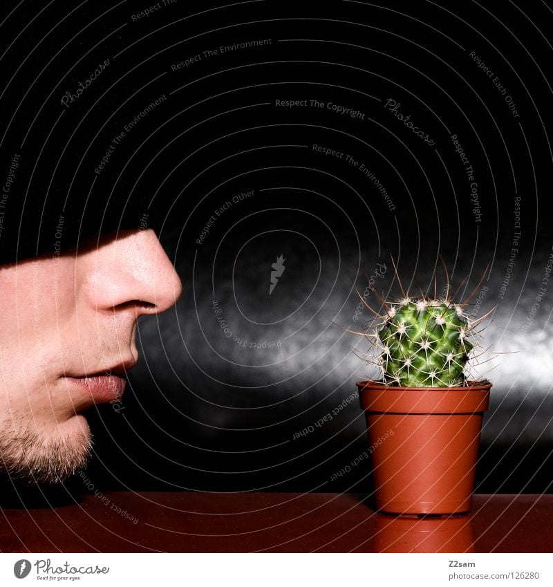 My little green cactus Cap Black Facial hair Cactus Man Plant Red Self portrait Table Inverted Funny Crazy Gap Glittering Dark dig Closed Face Nose Mouth Head