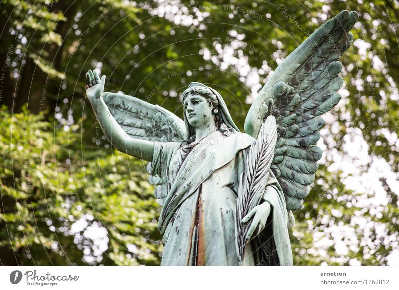 Hail thee Androgynous 1 Human being Green Self-confident Angel Statue Dismissive Feather Copper Rust Hamburg Ohlsdorf Cemetery Grief Colour photo Subdued colour