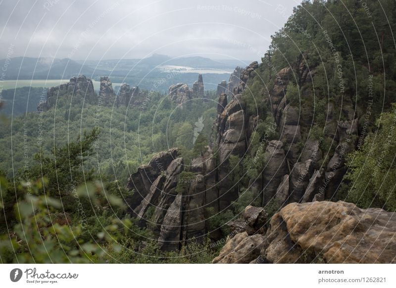 Elbe sandstone Mountain Hiking Cold Sandstone Elbsandstone mountains Saxon Switzerland Clouds in the sky Fog Forest Meadow Gray Green Colour photo