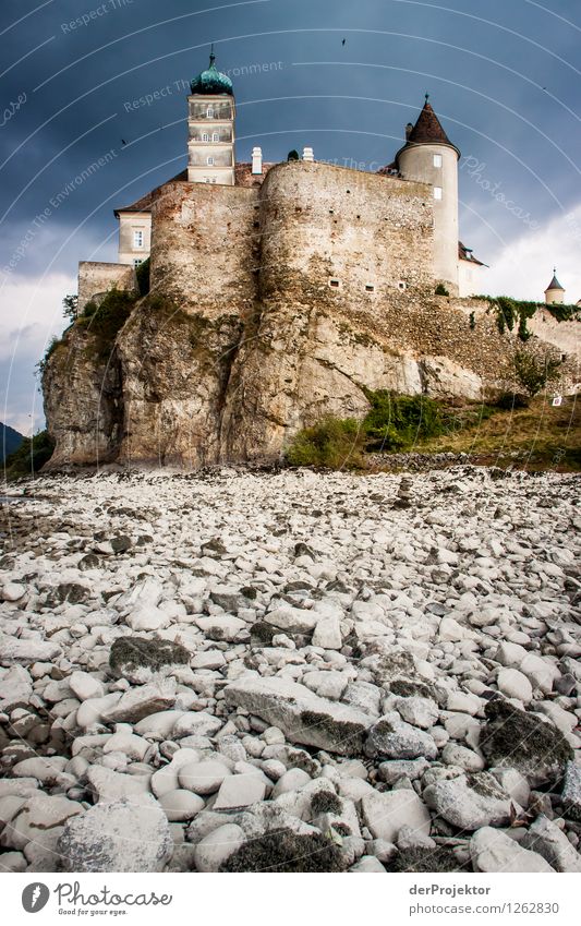 Castle on the Danube Vacation & Travel Tourism Trip Hiking Environment Nature Landscape Plant Animal Summer Bad weather Waves River bank Beach Ruin Tower