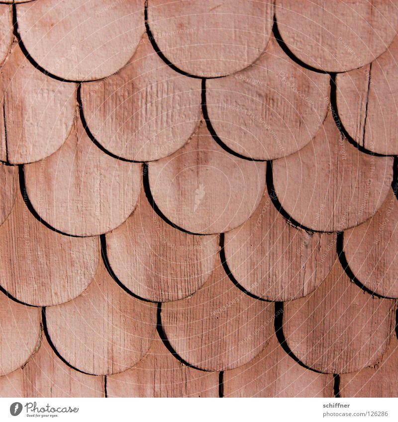 woodshed Wood Barn Roofing tile Cladding Wall cladding Wall (building) Pattern Background picture Craft (trade) scale pattern Shingle roof cladding
