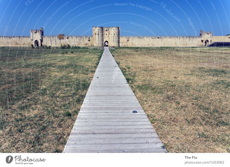 We clear the way... Cloudless sky Beautiful weather Meadow Aigues mortes Camargue Provence France Europe Village Downtown Old town Deserted City wall Fortress