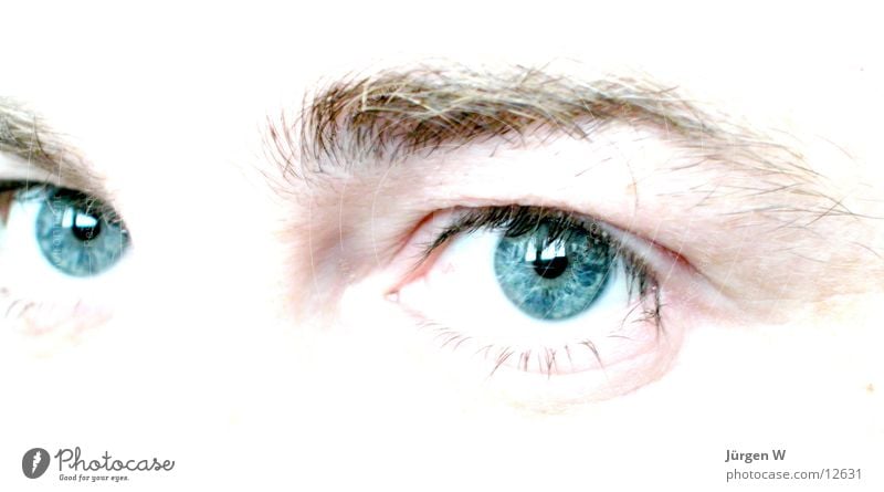 sidelong glance Pupil Photographic technology Eyes Looking Blue Human being Iris Bright view human brightly