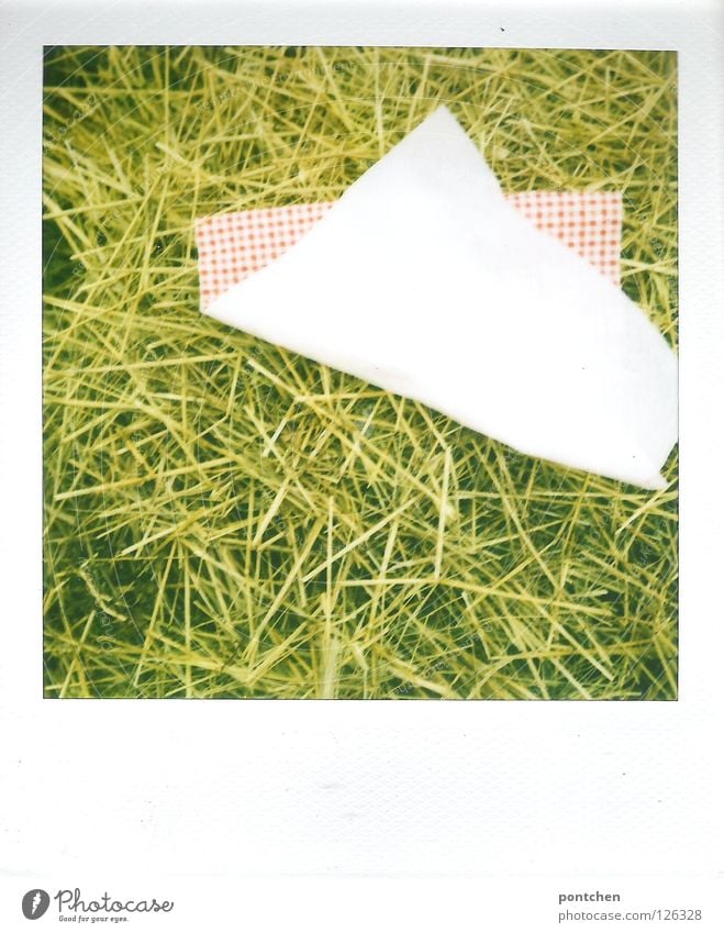 Polaroid shows red and white napkin in straw Colour photo Pattern Copy Space bottom Relaxation Trip Summer Wind Gale Paper Yellow Green Napkin Straw Common Reed