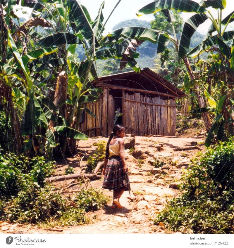 protective Colour photo Exterior shot Vacation & Travel Adventure Mountain Flat (apartment) Child Girl Arm Tree Forest Virgin forest Hut Wood Poverty Brave