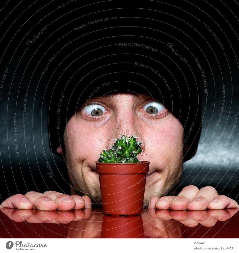 Grow up! Growth Looking Cap Black Facial hair Cactus Man Plant Red Self portrait Table Inverted Funny Crazy Gap Glittering Dark Hand Fingers To hold on Amazed