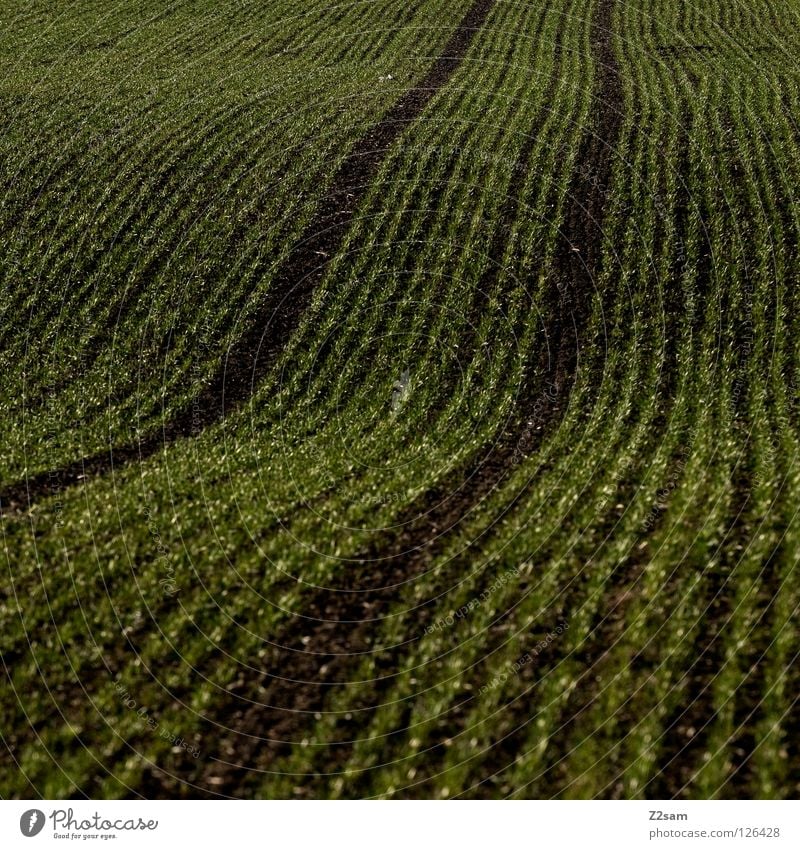 agricultural art Agriculture Field Meadow 2 Waves Graphic Black Dark Square Skid marks Parallel Earth Sand arrogant Tracks Lanes & trails Arch Line Reduce