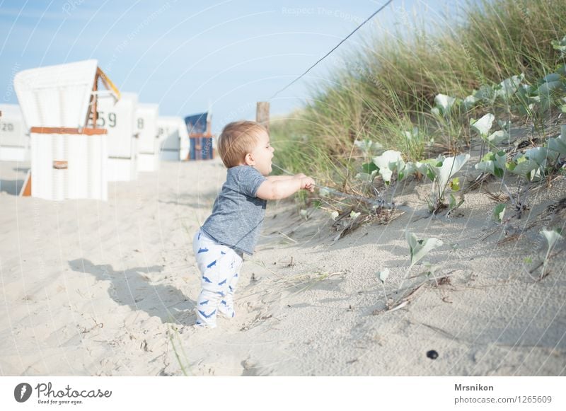 dune Baby Toddler Boy (child) Family & Relations Infancy Life 1 Human being 0 - 12 months Sand Cloudless sky Summer Beautiful weather Coast Beach Baltic Sea