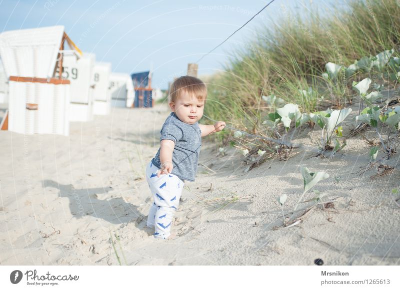 on the dune Vacation & Travel Trip Far-off places Freedom Summer Summer vacation Sun Beach Ocean Island Child Baby Boy (child) Infancy Life 1 Human being