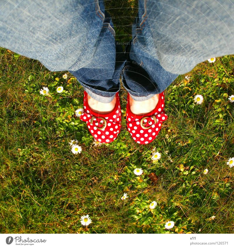In Her Shoes II Skin Summer Woman Adults Feet Nature Plant Spring Flower Grass Blossom Meadow Clothing Pants Jeans Footwear Blue Green Red White Obedient Point